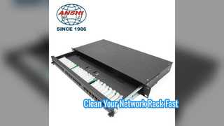 1U 24 Port Cat5e Patch Panel Rack Solution Network Mount
