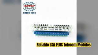 اتصال قابل اعتماد ماژول مخابراتی LSA PLUS 10 Pair